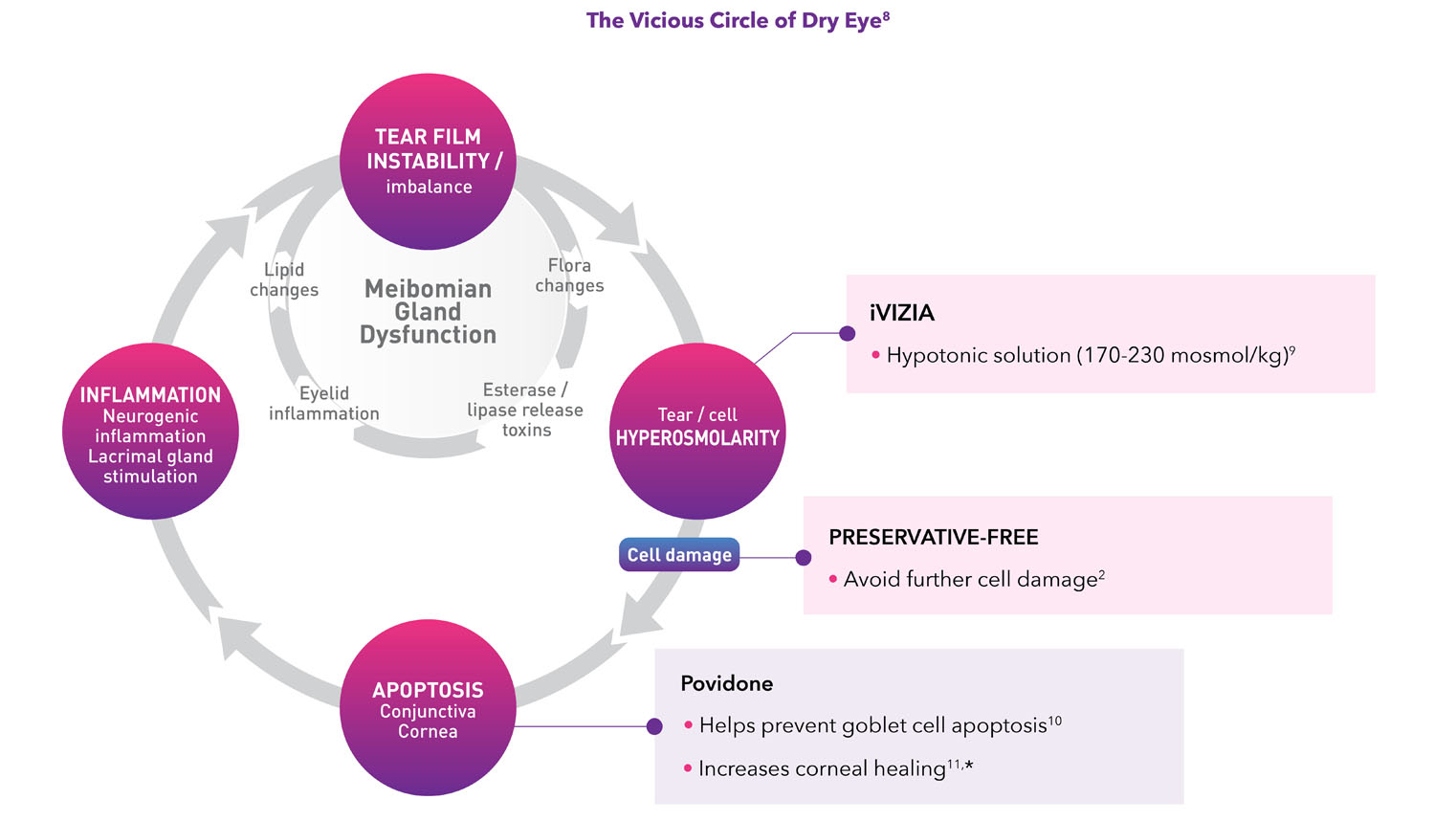 The Vicious Circle of Dry Eye